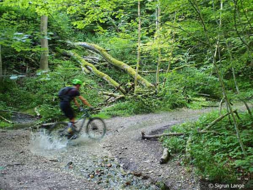 Foto: Mountainbiker im Isartal