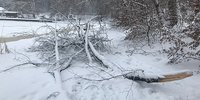 Foto: Schneebruch am Deininger Weiher