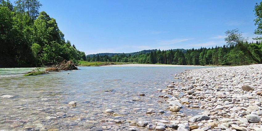 Foto: Sommerliches Idyll im Isartal