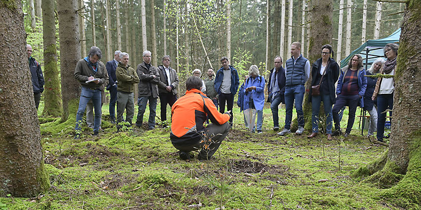 Foto: Ein Mitarbeiter des Bergwaldprojekts stellt das Projekt vor Ort im Wald vor