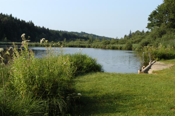 Foto: Deininger Weiher (Gleißental-Weiher)