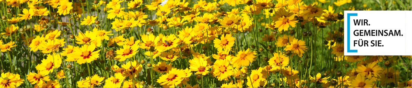 Sommer im Landkreis München